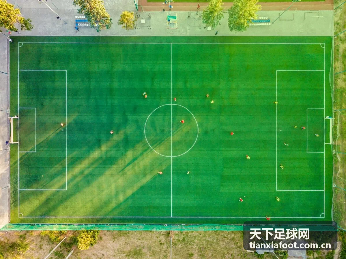 天下足球网曼市德比集锦缩略图